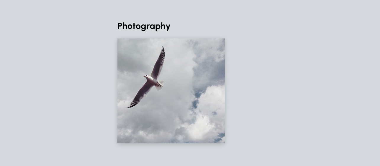 Group 44 (2).png