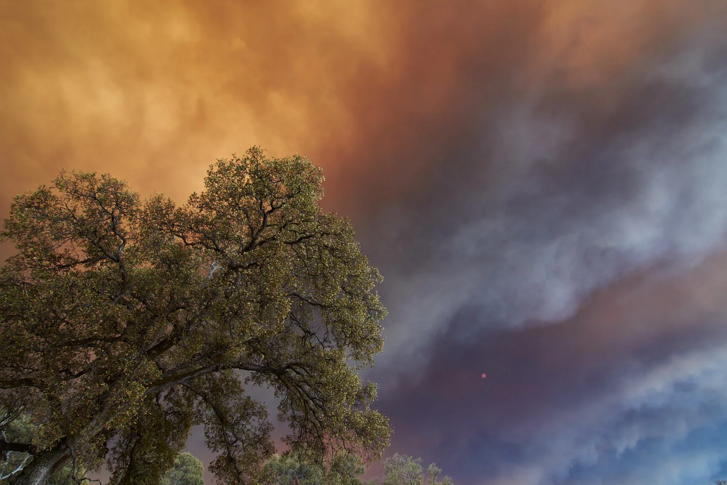 Upper Bidwell Park. The small orange dot is the mid-day sun.