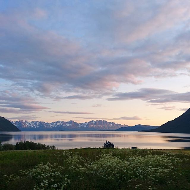 Gorgeous summer evening 😍🌞 #summer #sunset #midnightsun 
#arcticmagic #arctic #norway #yr #70degreesnorth #70gradernord #traveldestination #travel #visitnorway #fjord #alps #mountains #reflections