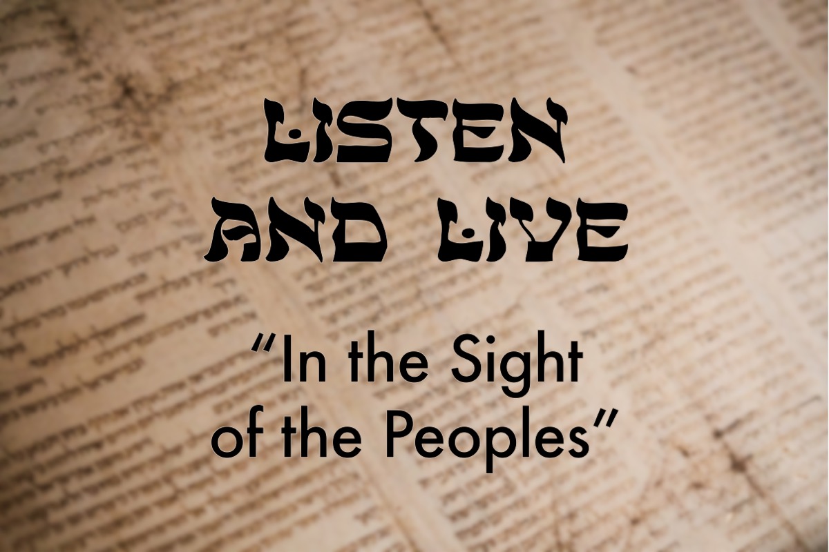Deuteronomy Sermon Art Website.jpg