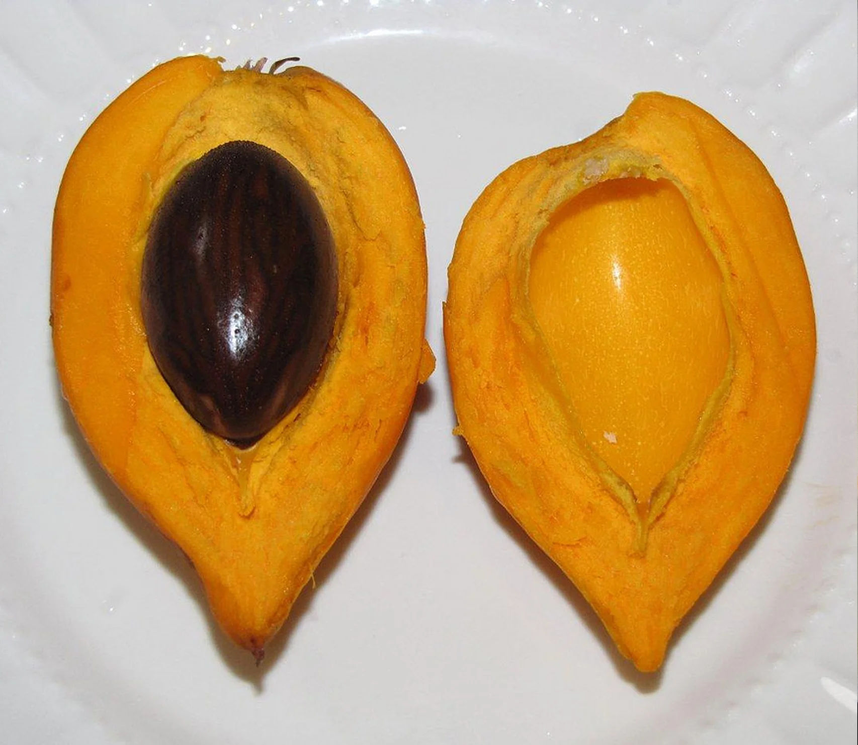 Egg_Fruit-1.jpg
