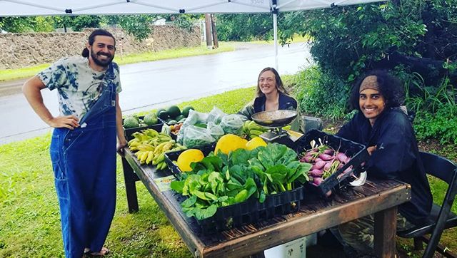 Farmstand/ CSA pickup this morning!  59-075 Pupukea Rd
Check it out! Mahalo!