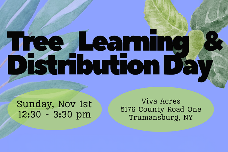 Tree Learning and Distribution Day (aka Free Trees!)