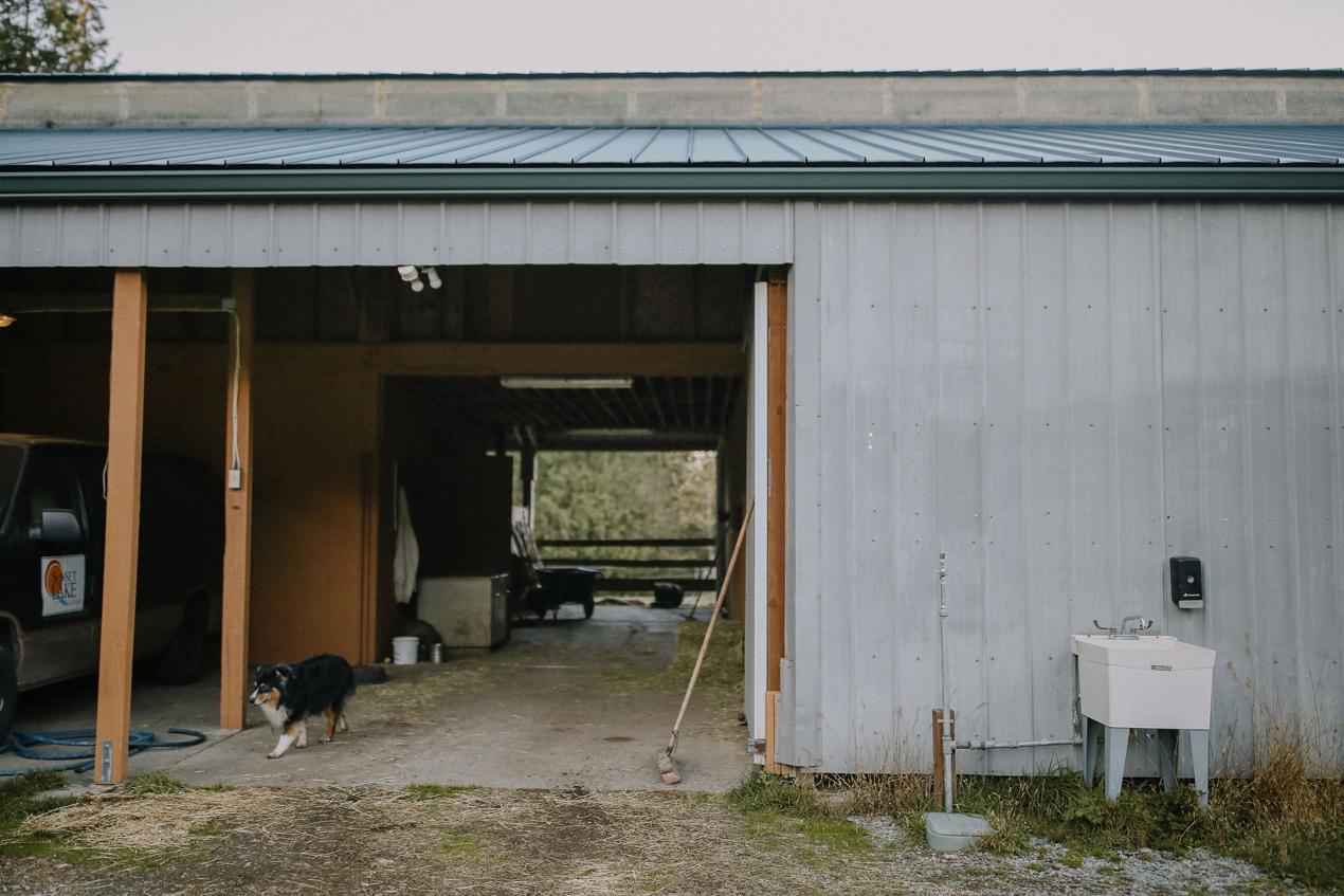 Sunset Lake Horse Barn 1