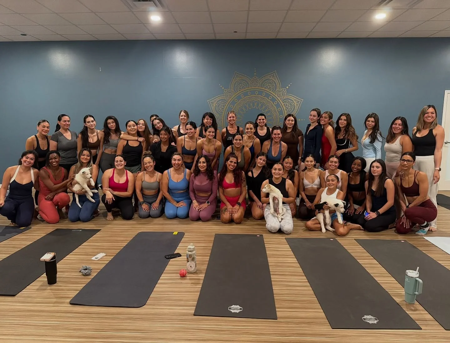 Our first Puppy Yoga was a mix of cuteness, cuddles, wags, down dogs, tiny licks and nibbles. Yeah, we did some yoga too 😜.

A huge THANK YOU to everyone that supported, donated and showed up for this fun event because we had so much doing it!
Thank