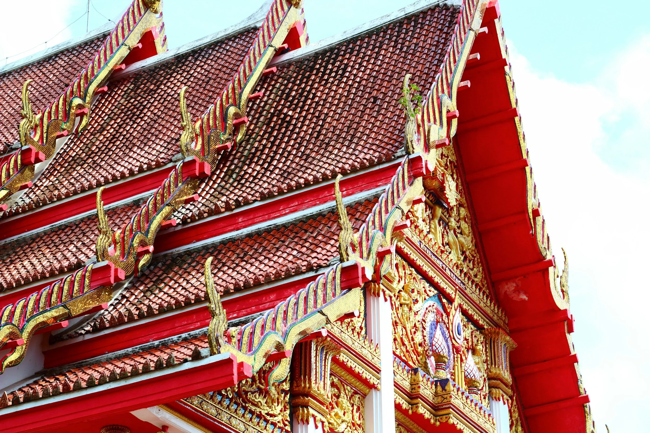 unsplash-image--Mi7tmBm_eU.jpg