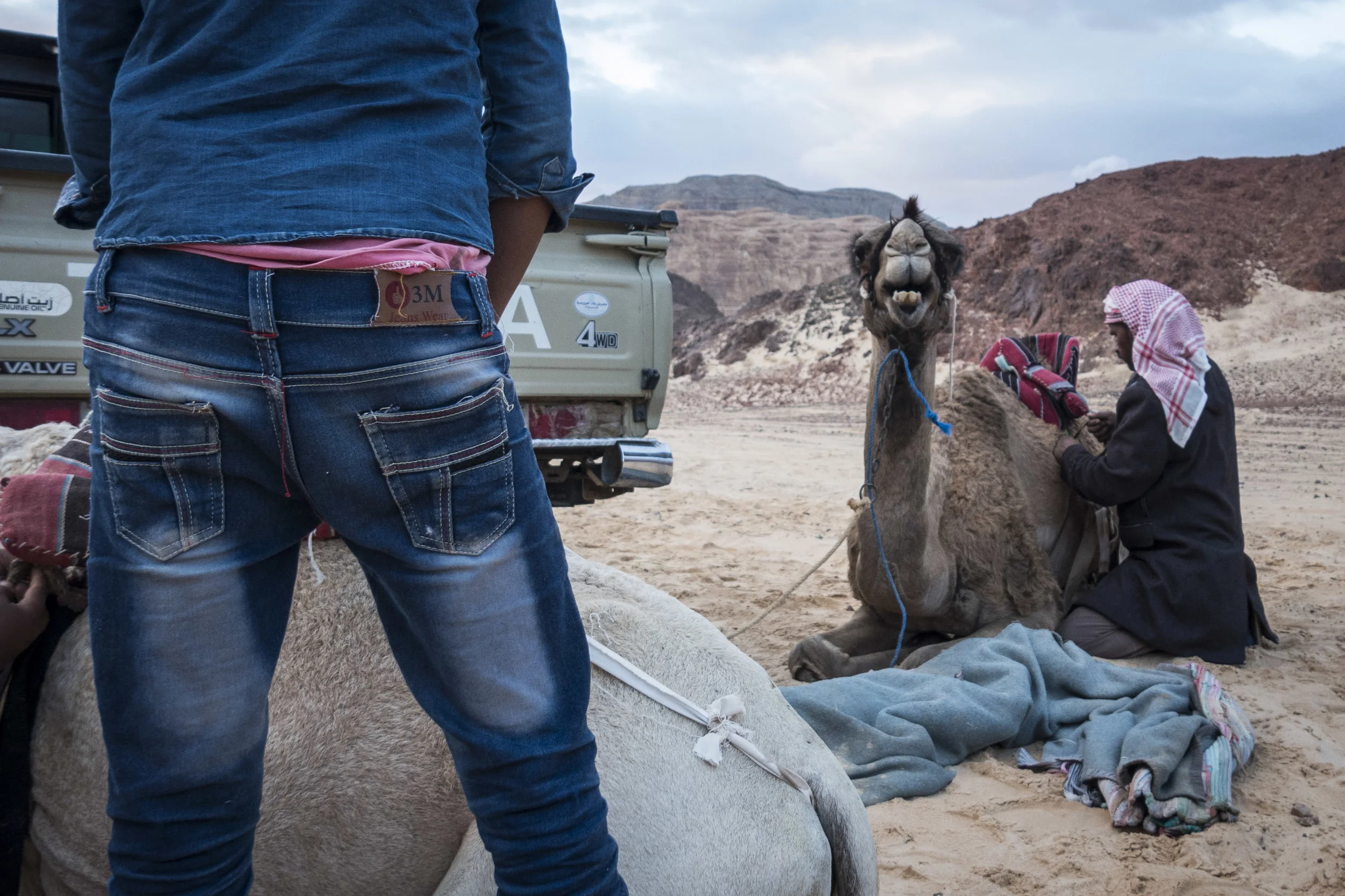Sinai Trail 2018