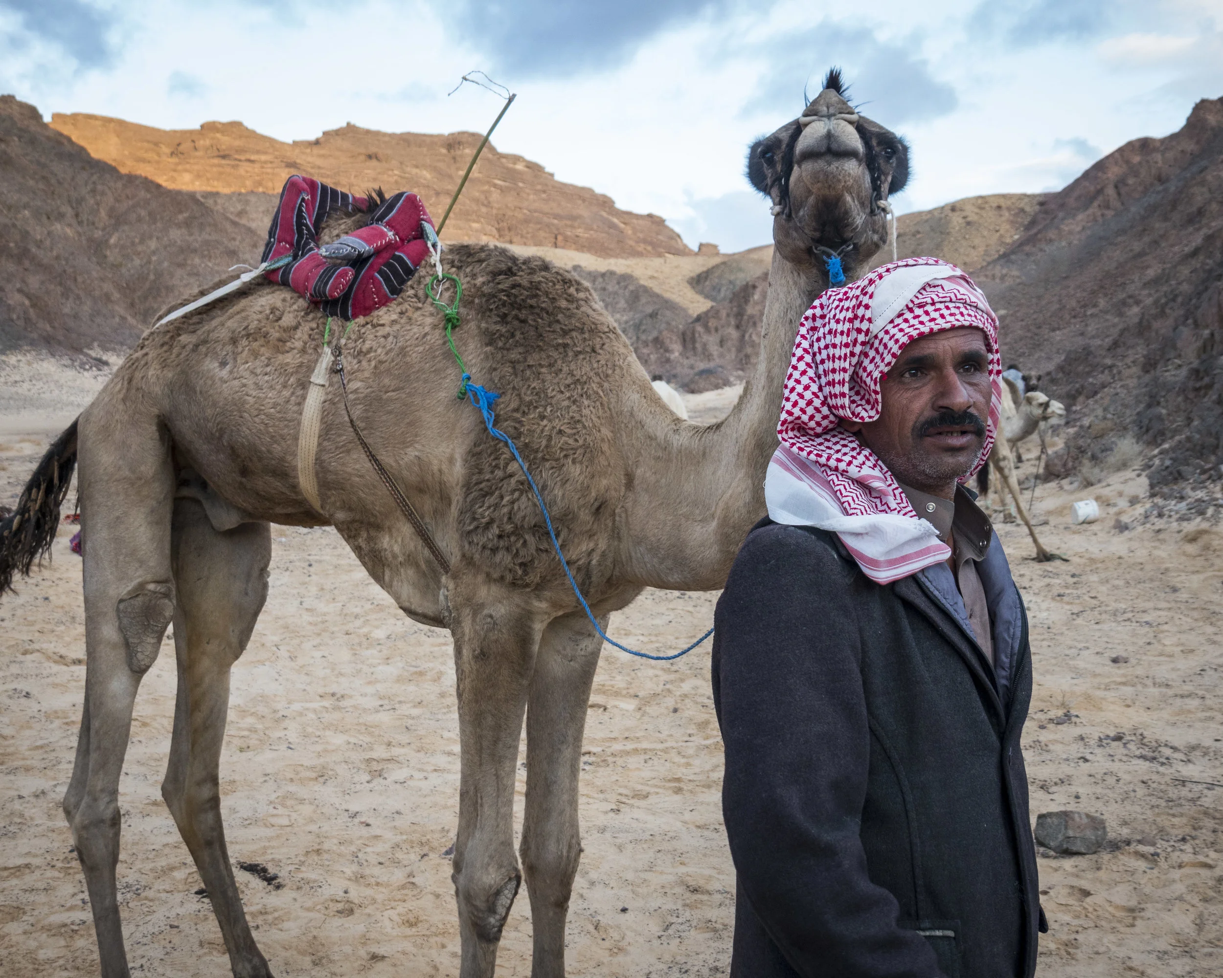 Sinai Trail 2018