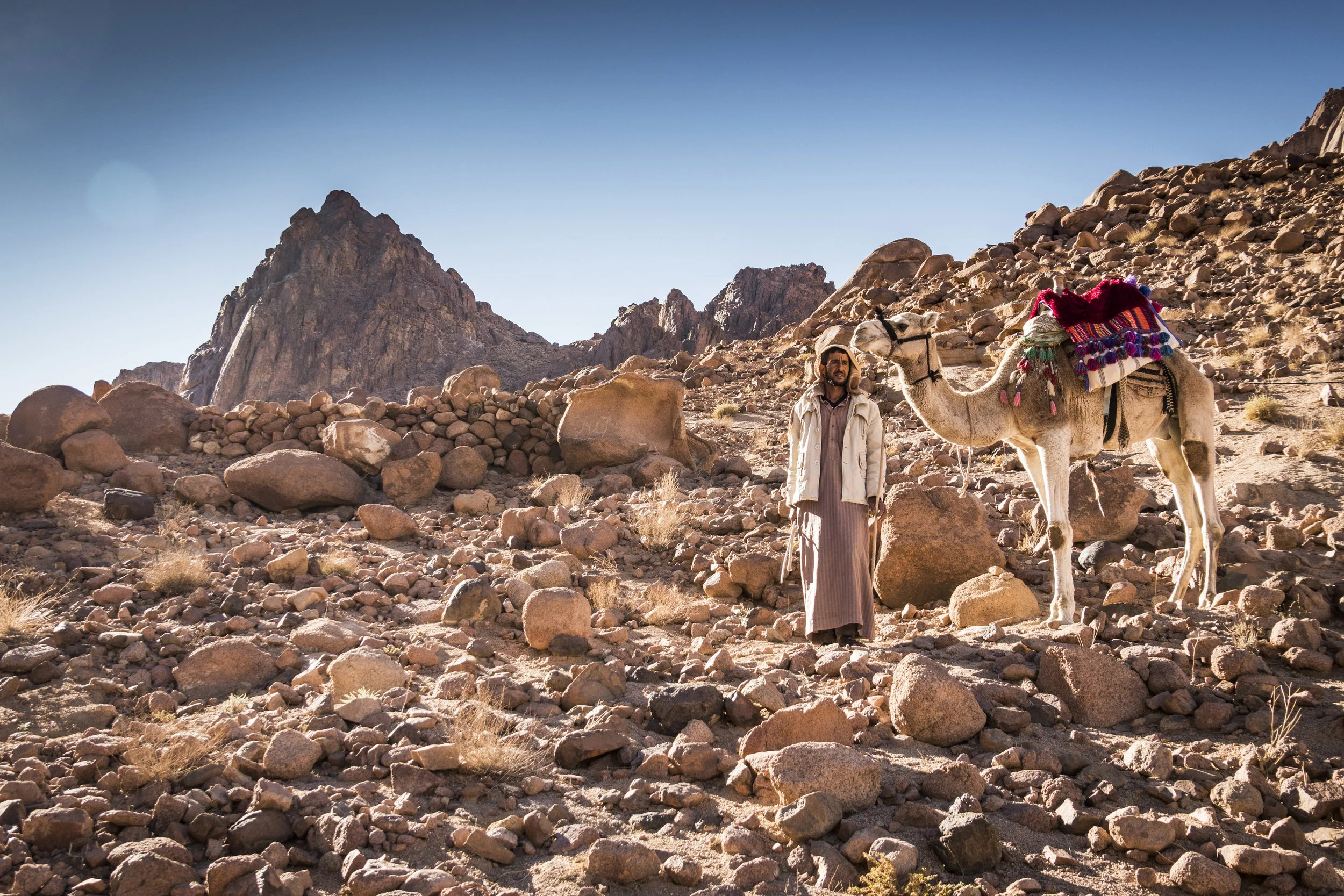 Sinai Trail 2018