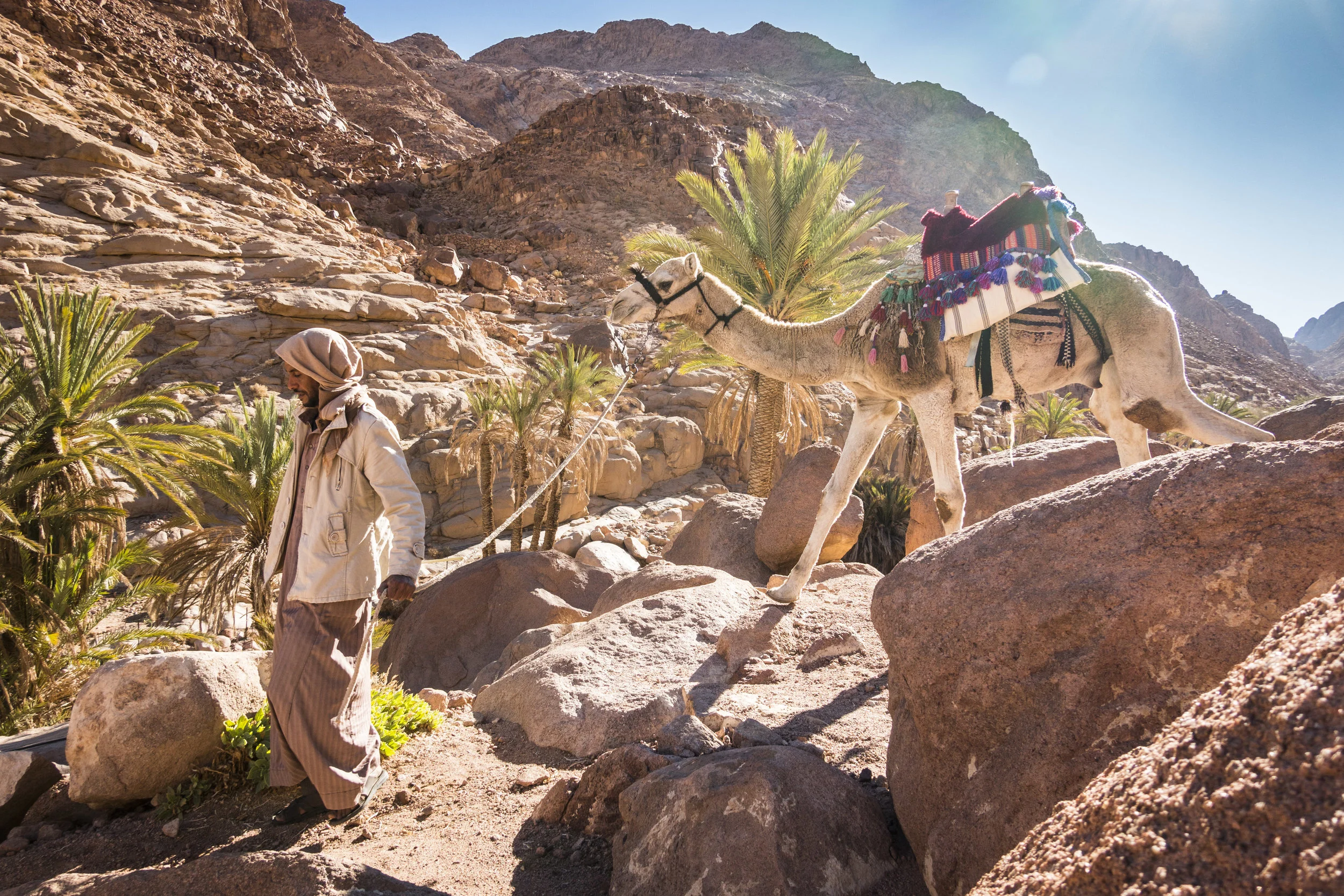Sinai Trail 2018