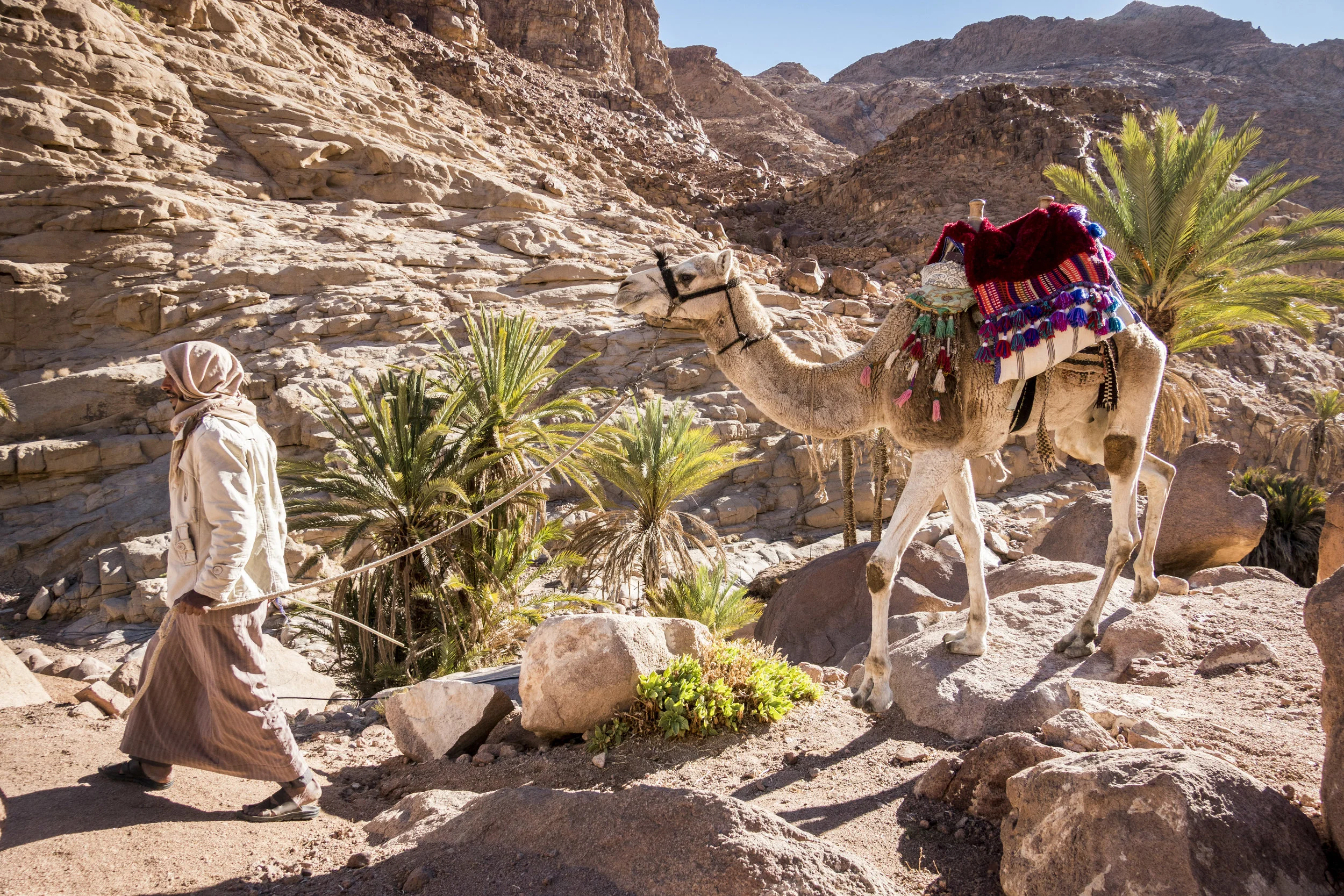 Sinai Trail 2018