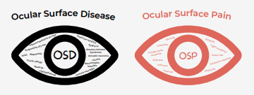 Ocular Surface Disease, Ocular Surface Pain