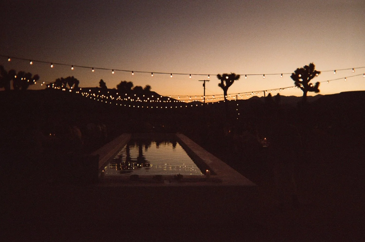 POV you put disposable cameras on all the tables at your wedding and the result is everything!! 

So thrilled to have these silent disco dance moments captured! When we all got up on the pool and danced our way around it till the pool frame was cover