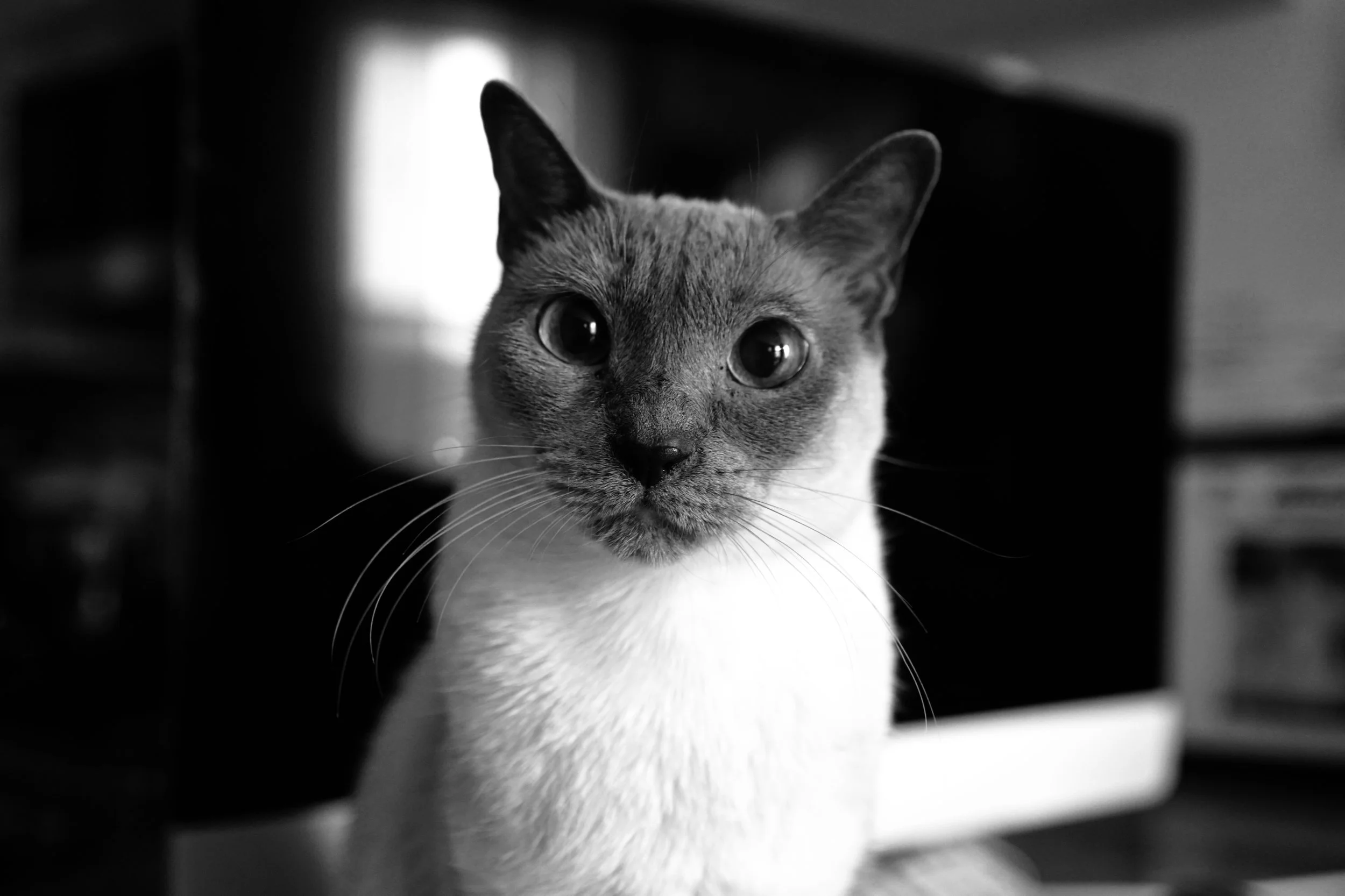B2E001F5-1EFE-4E38-A8B0-A667D584BC4F.jpg