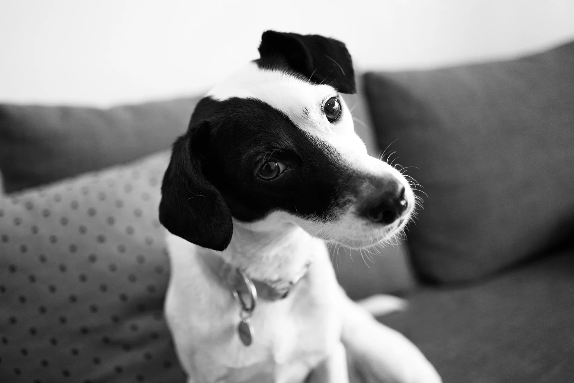 DSC03148_bw_1900.jpg