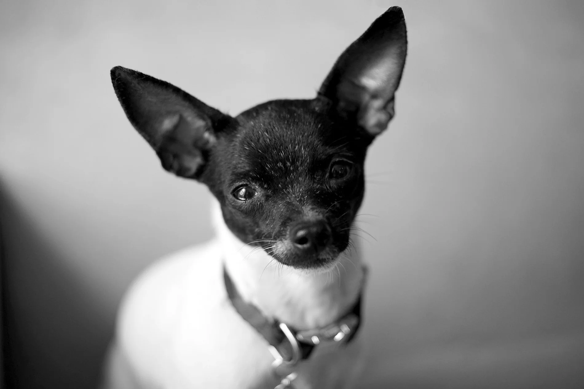 IMG_0044_bw.jpg