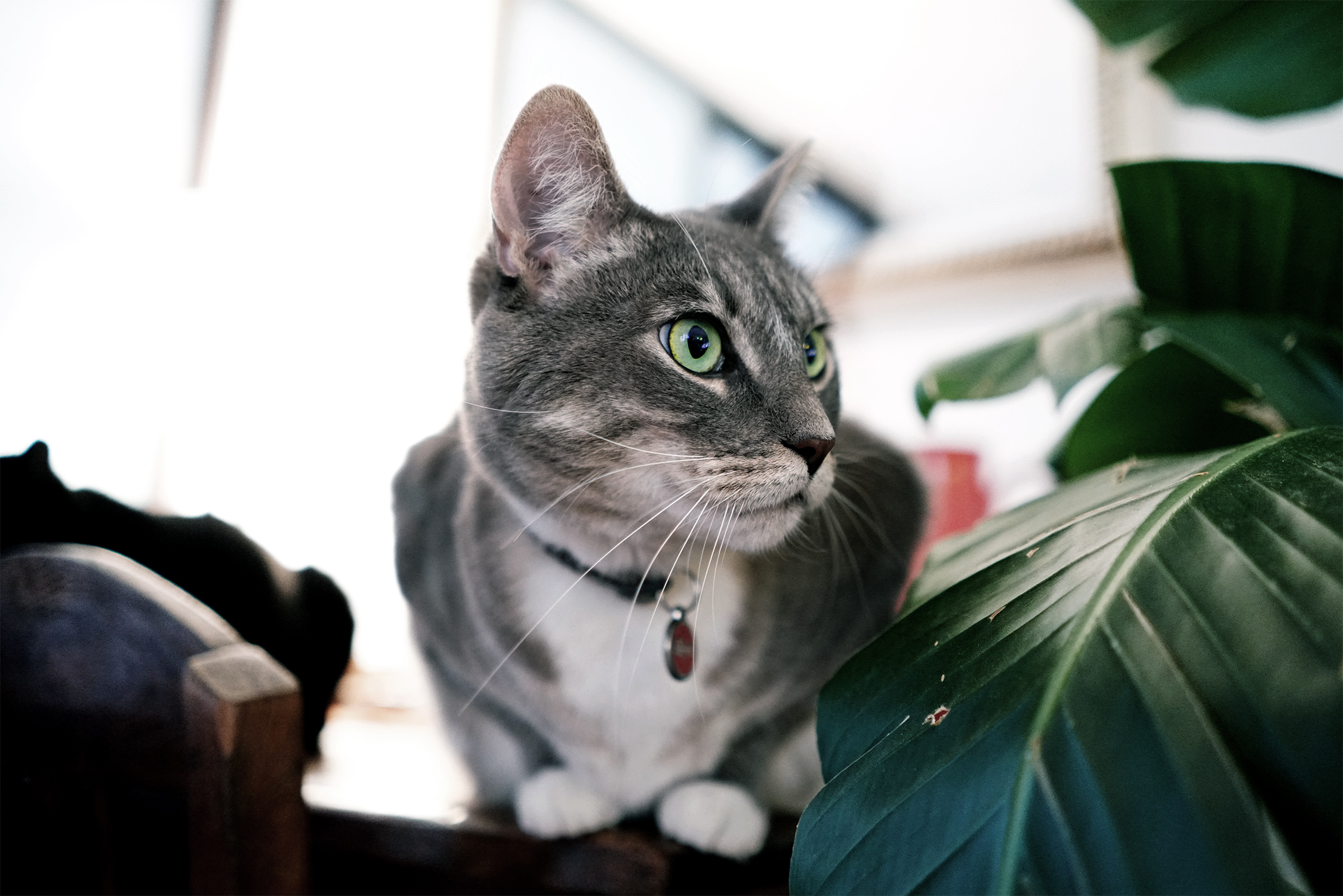 DSC09596_2250.jpg