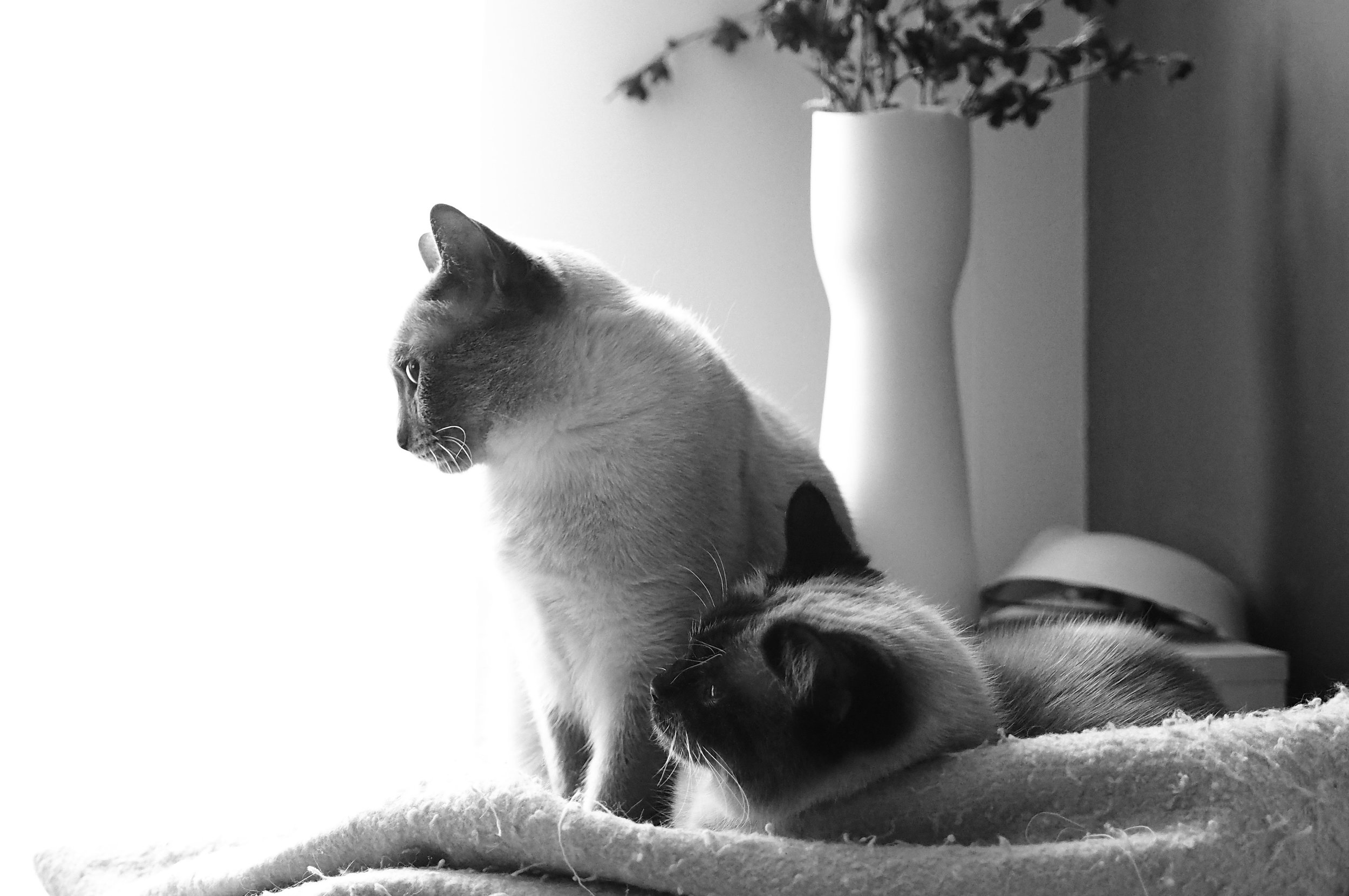P1010114.jpg