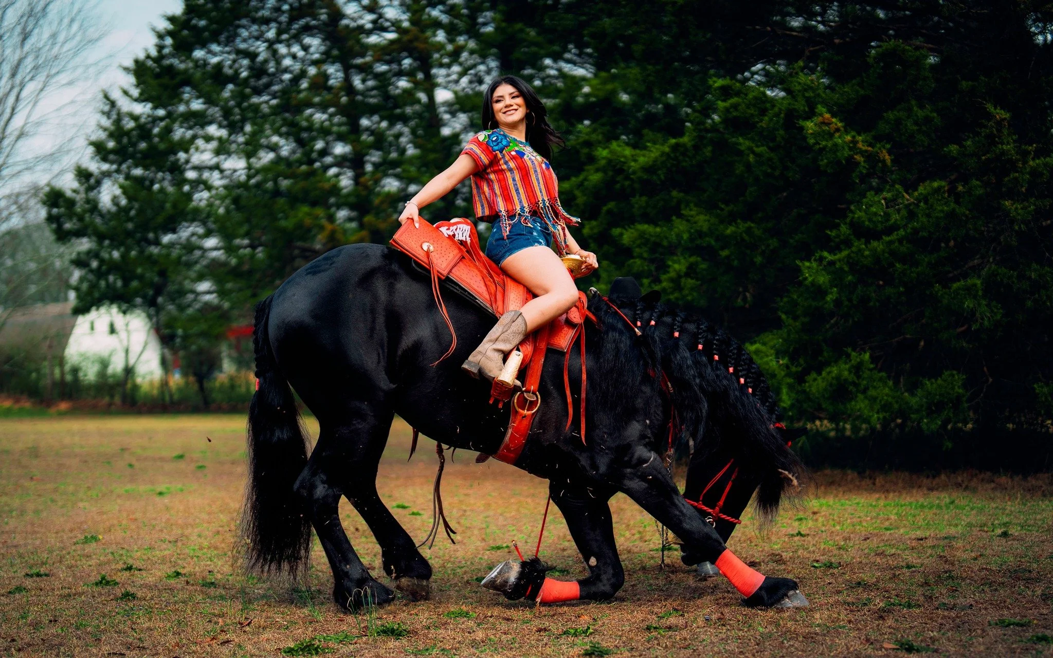 rancherostylehorseshoot.jpg