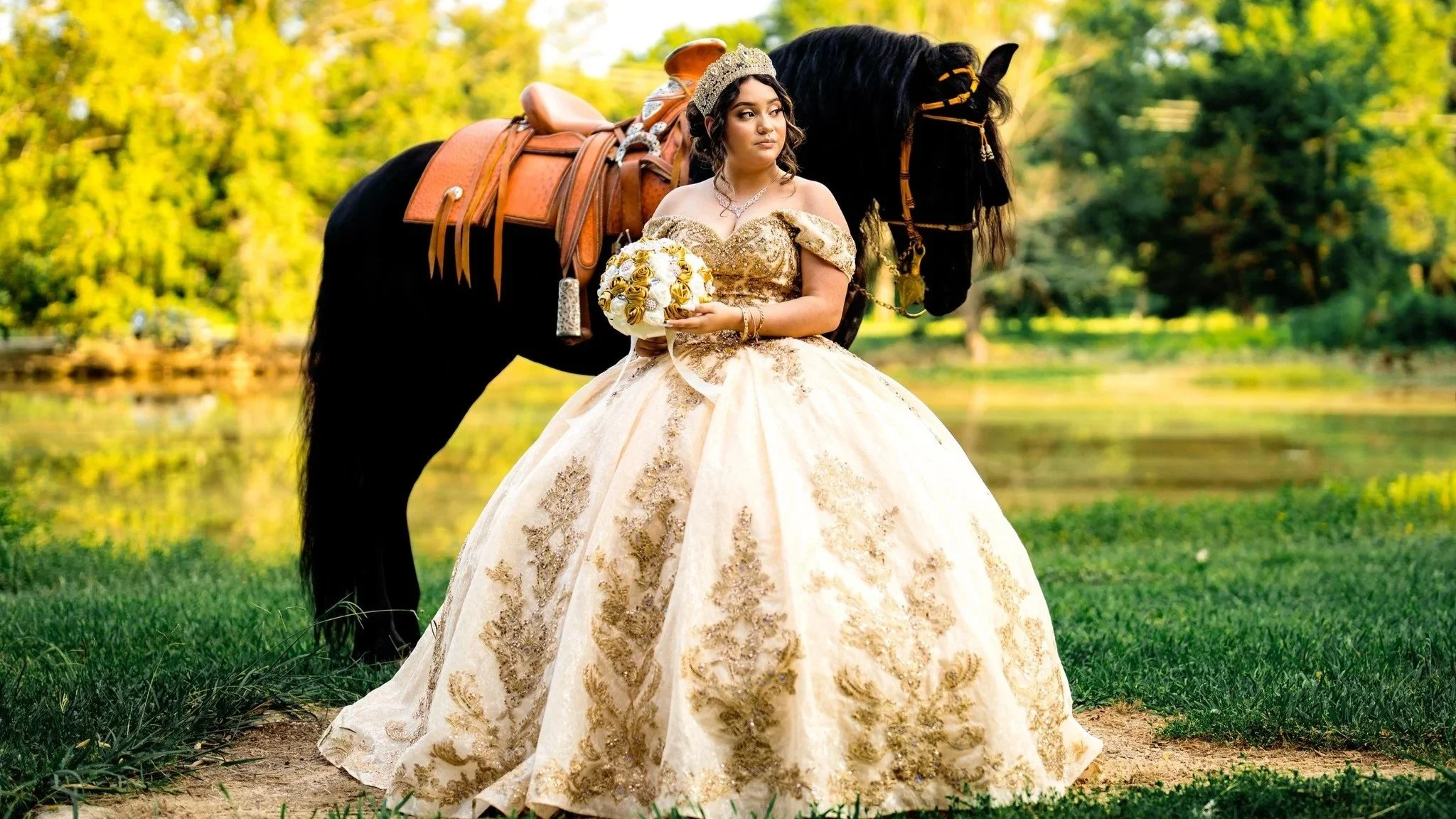 gold dress quinceñera with a horse in the state of arkansas