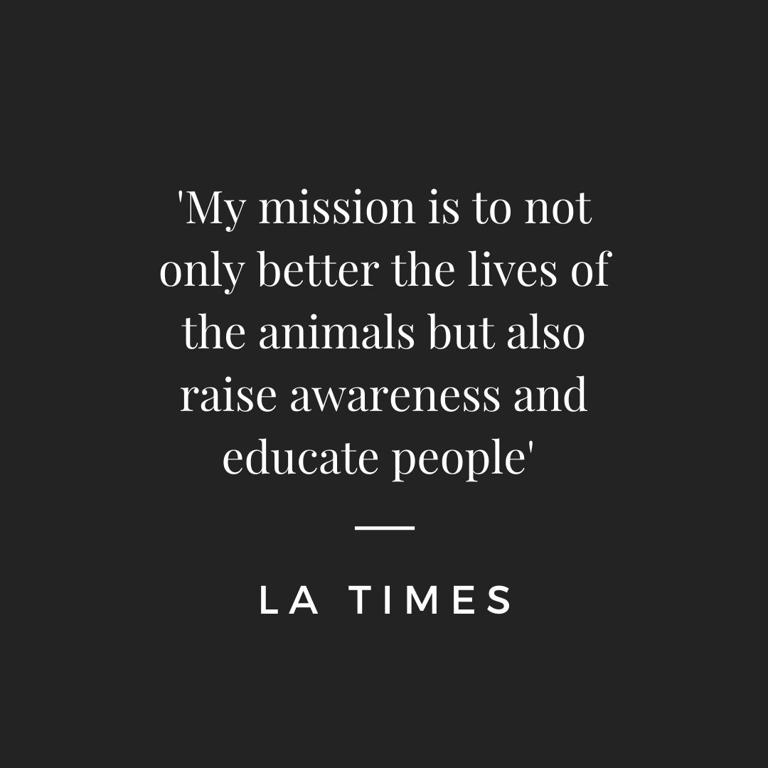 Vegan Fashion Week Quote 8.png