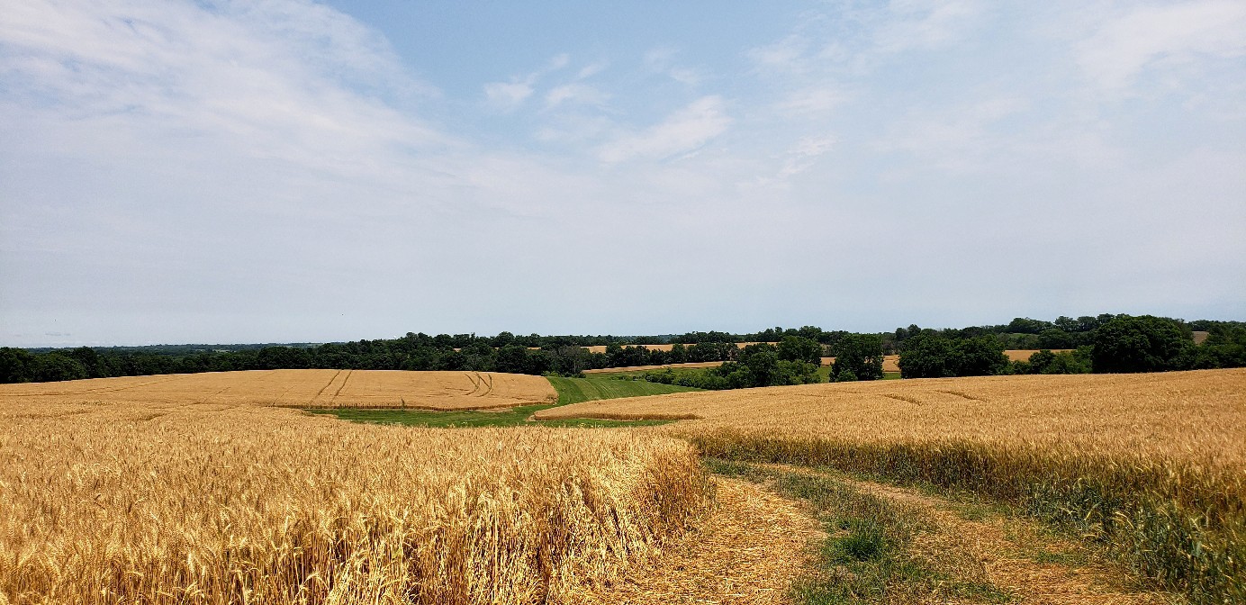 Nelson County, KY. Photo: Charles B. Cornell