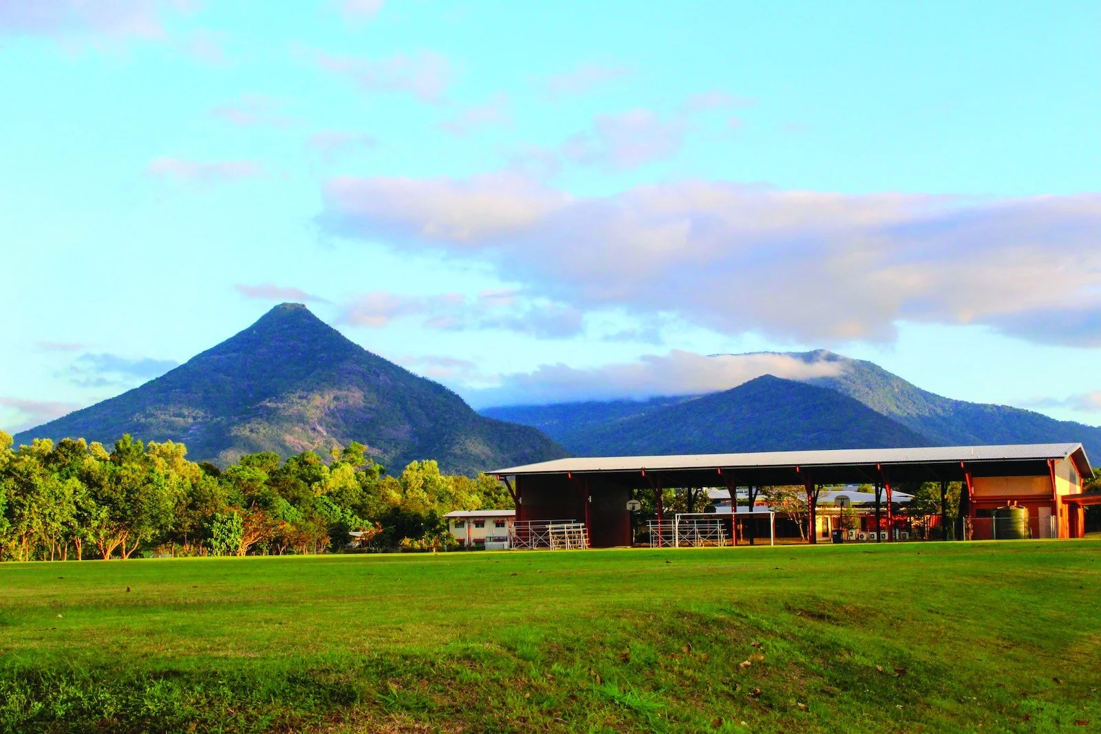 An NCCD Case Study: How a QLD School Increased NCCD Funding by 300%
