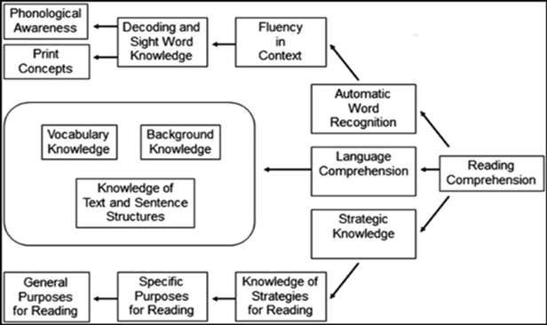 Figure 1: Cognitive model of reading.