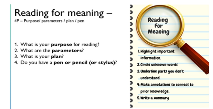 Figure 2: Reading for Meaning - Scaffolding the 5 access points.