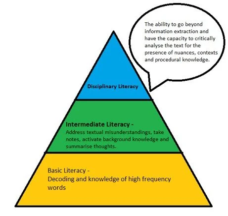  Figure 2: Levels of literacy ability 