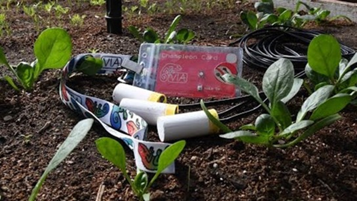   The Chameleon Card. &nbsp;Design and Tech changing agriculture in developing countries.    https://www.youtube.com/watch?v=4470rERE87A   