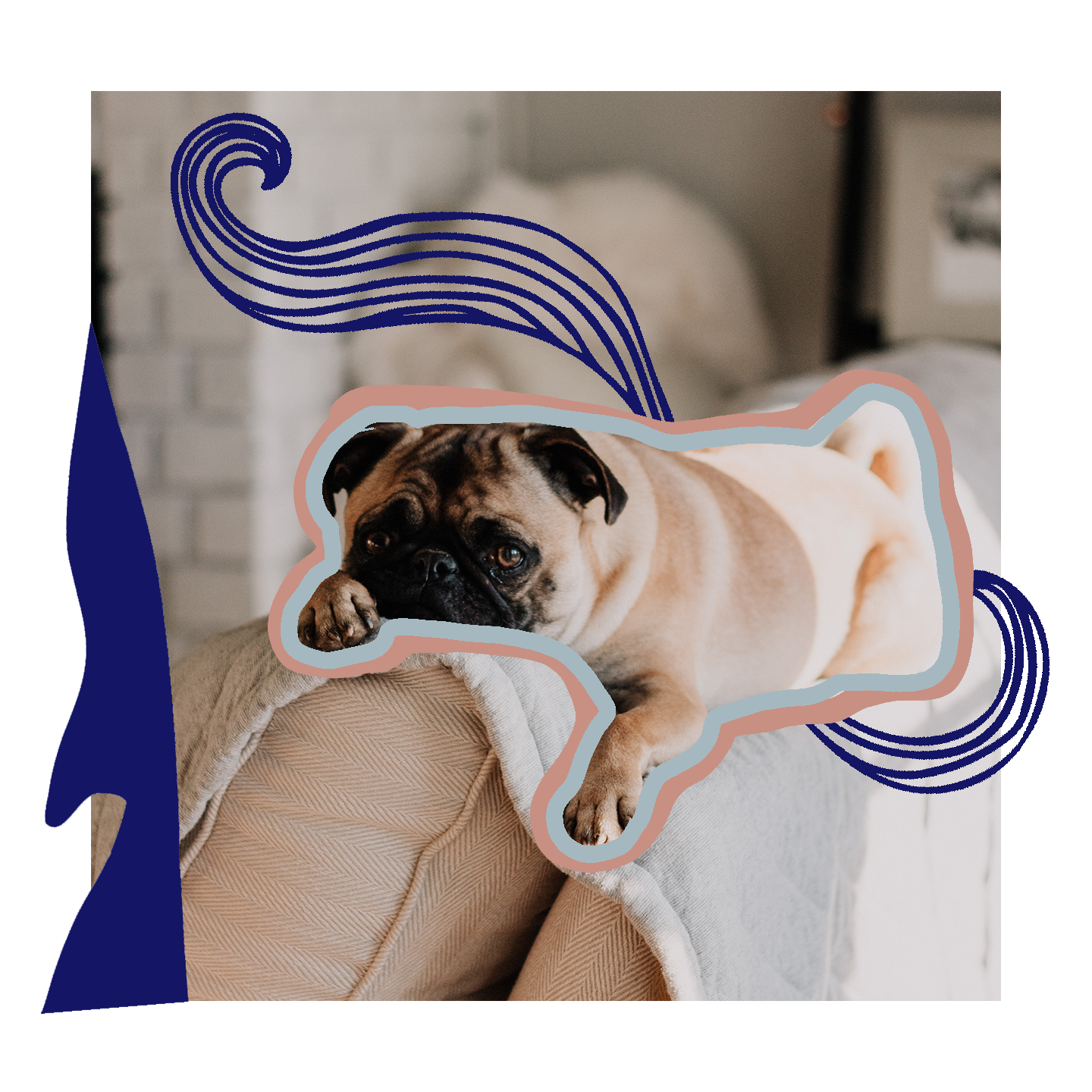 puppdog.png