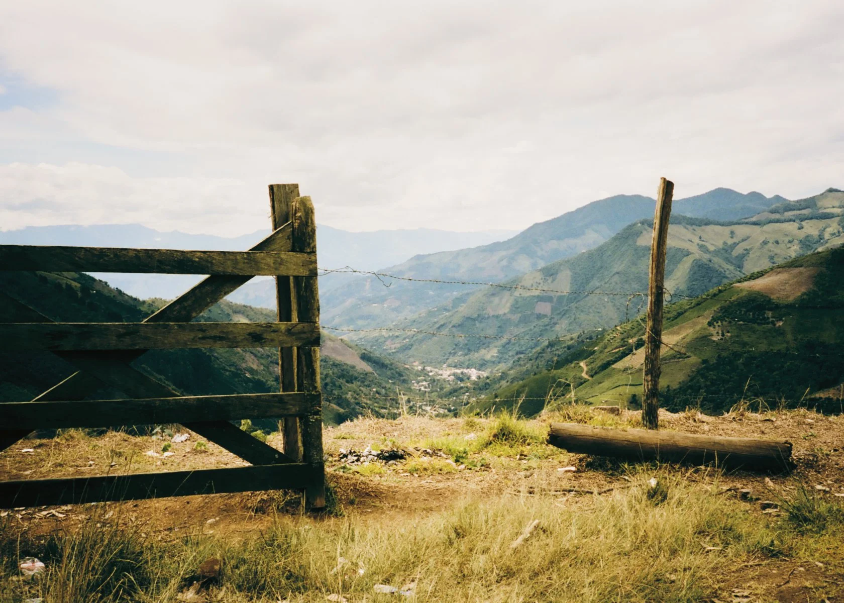 2026_LHG_Coffee-Lab_Origin-Colombia_*Environmentals_076.jpg