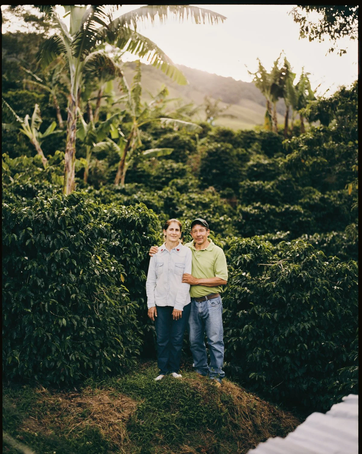 2026_LHG_Coffee-Lab_Origin-Colombia_Albieros-y-Luzdari_016.jpg