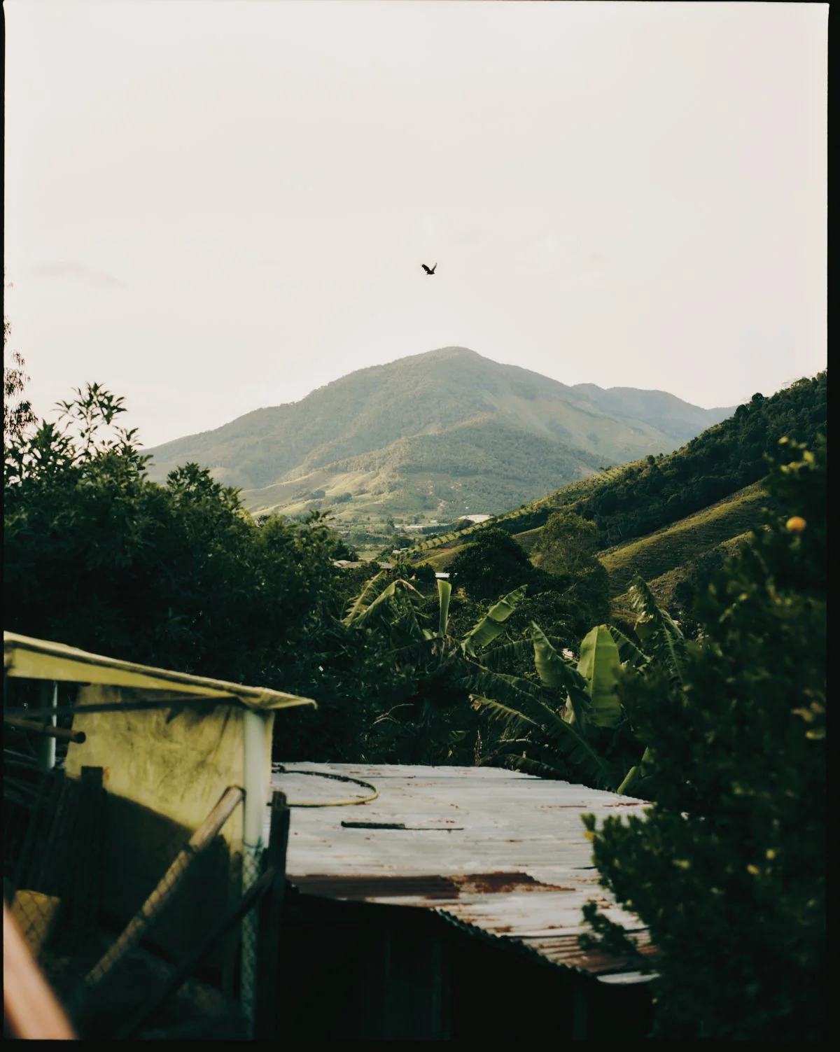 2026_LHG_Coffee-Lab_Origin-Colombia_Albieros-y-Luzdari_033.jpg