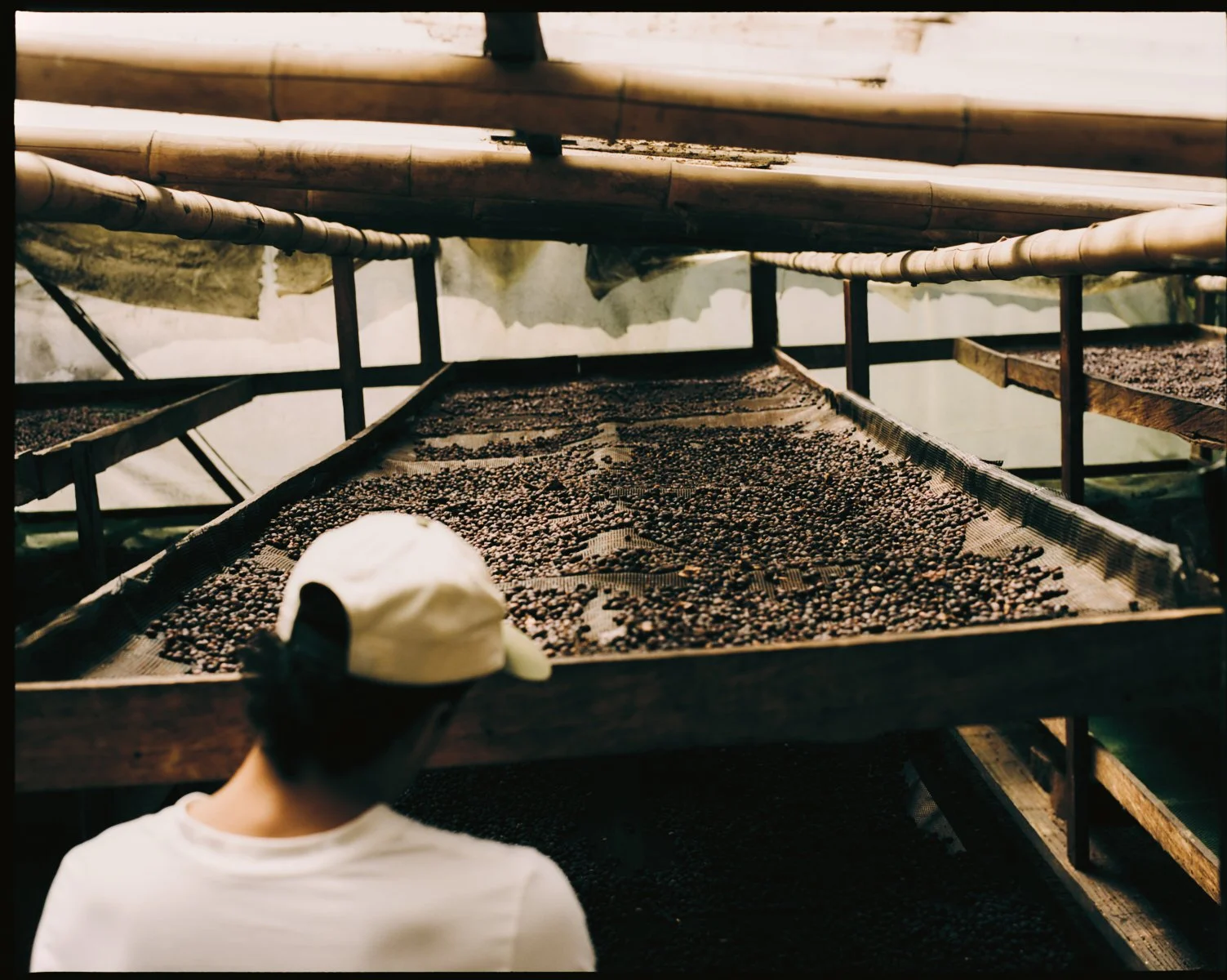 2026_LHG_Coffee-Lab_Origin-Colombia_Andres-Cardona_149.jpg