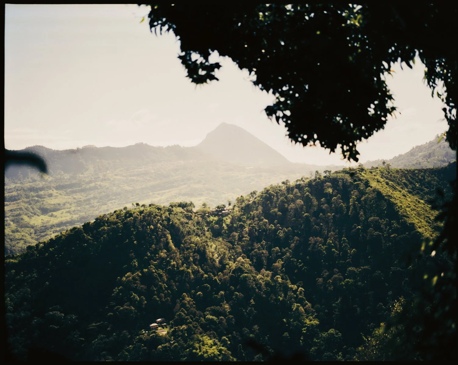 2026_LHG_Coffee-Lab_Origin-Colombia_Andres-Cardona_151.jpg