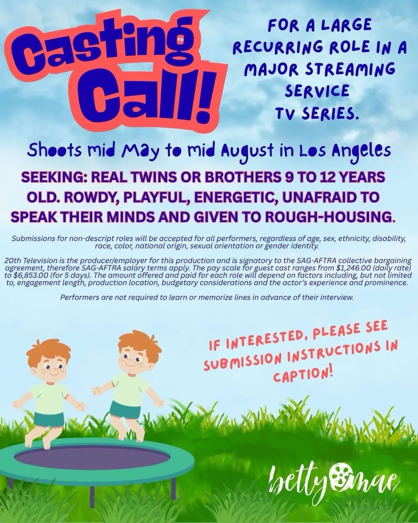 We are holding an open casting call for a large role in a major streaming service TV series! 

If anyone you know fits the above description, please submit a picture and resume (if applicable) to this email: bettymaeopencastingcall@gmail.com 👬🌟🎞️