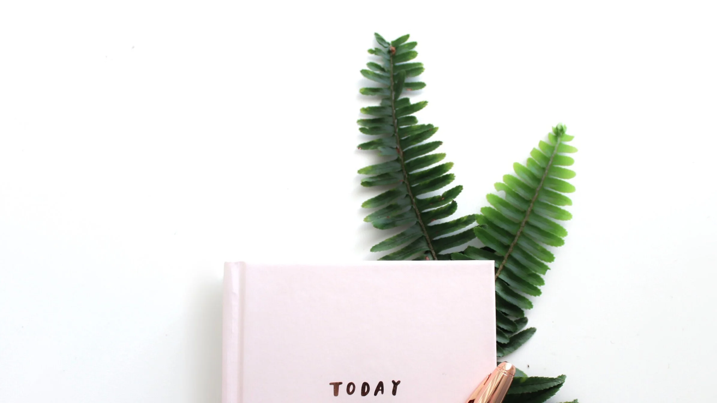 Free Printable Weekly Health Tracker