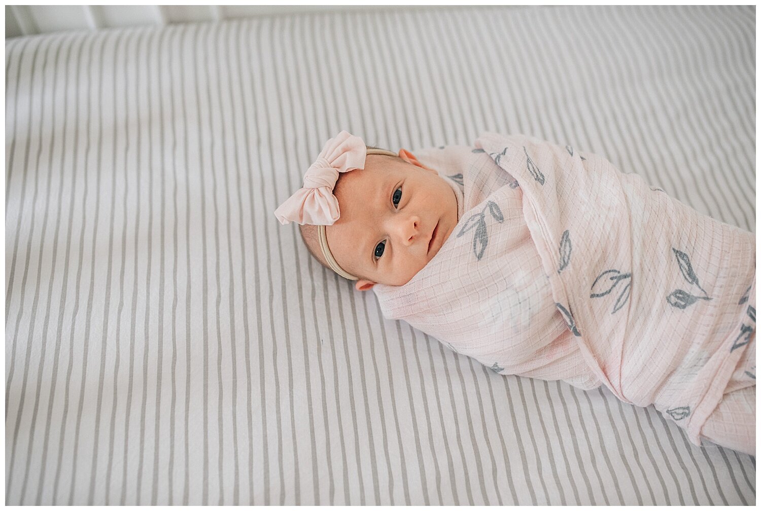 RaleighNewbornPhotography_0955.jpg