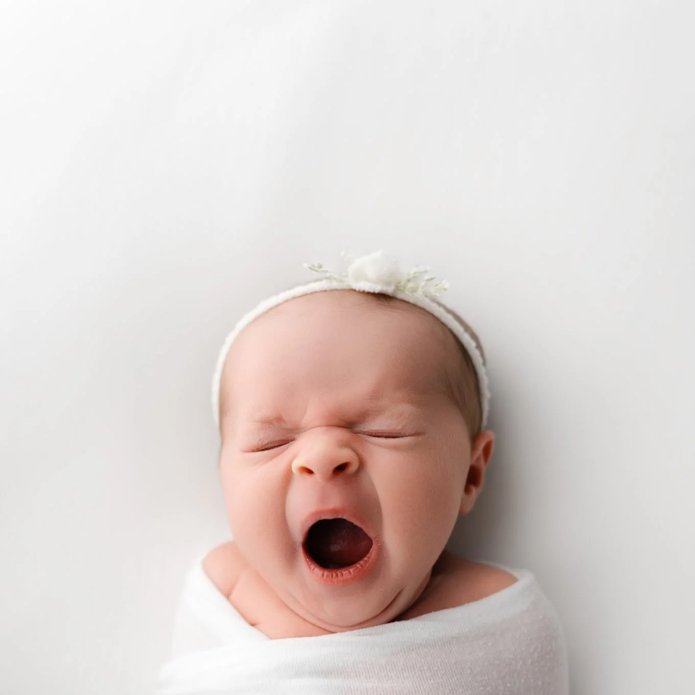 Same. 

That&rsquo;s it. That&rsquo;s the post. 🥱 

#photographersinoctober #newbornphotographer Newborn Photographer in Raleigh, NC #raleighnewbornphotographer