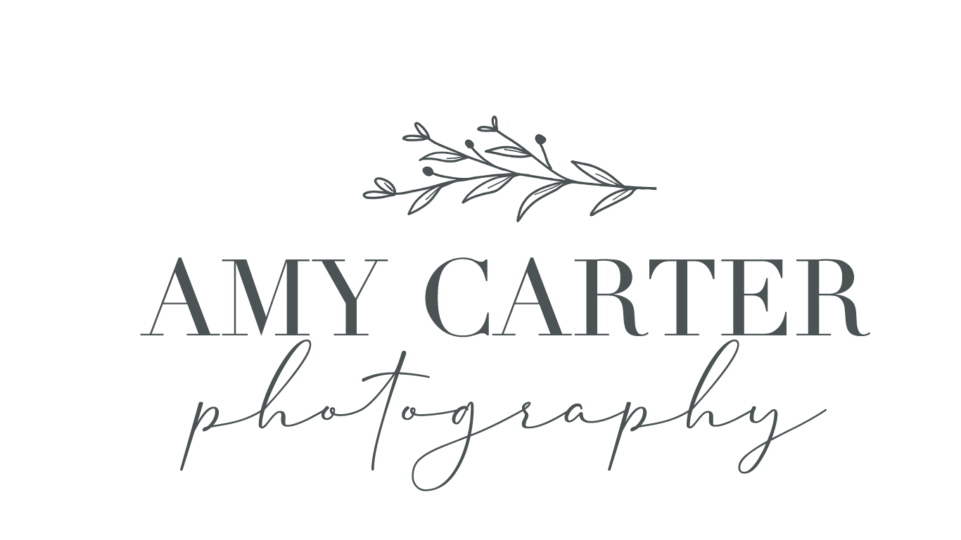 Amy Carter Photography | Raleigh Heirloom &amp; Newborn Photography 