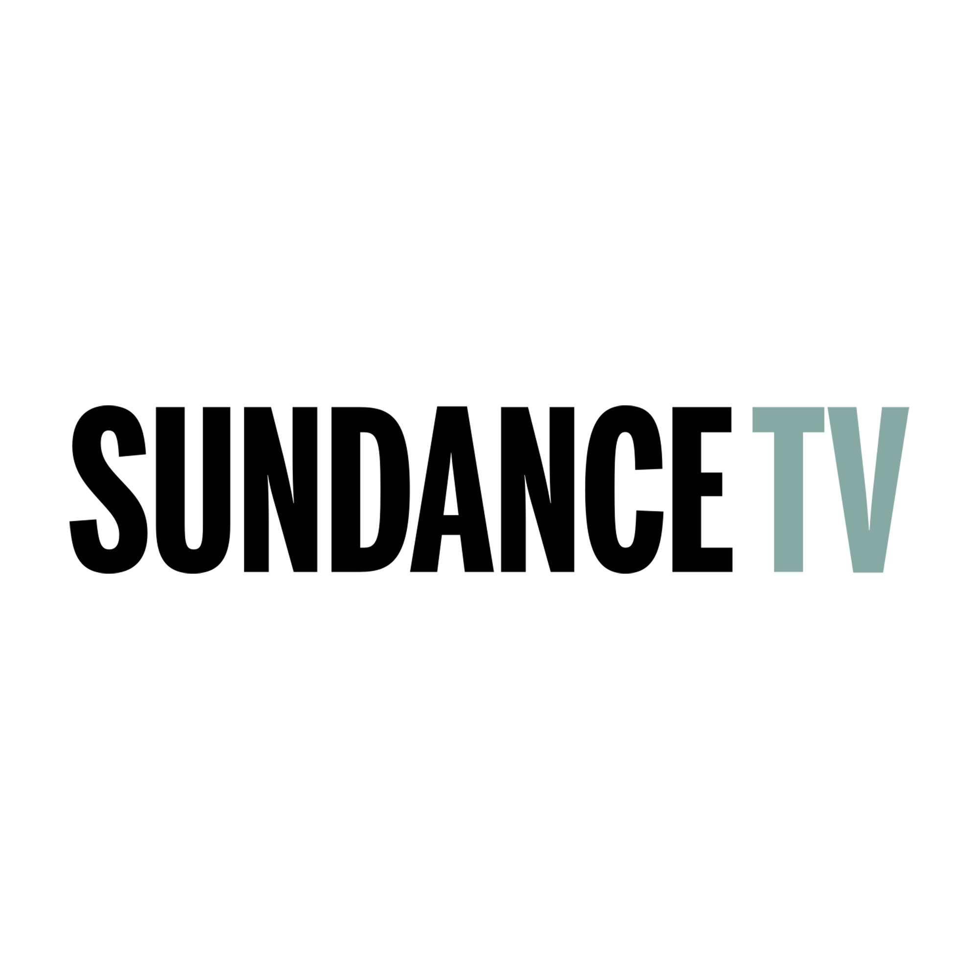 Sundance Consulting Logo.jpg