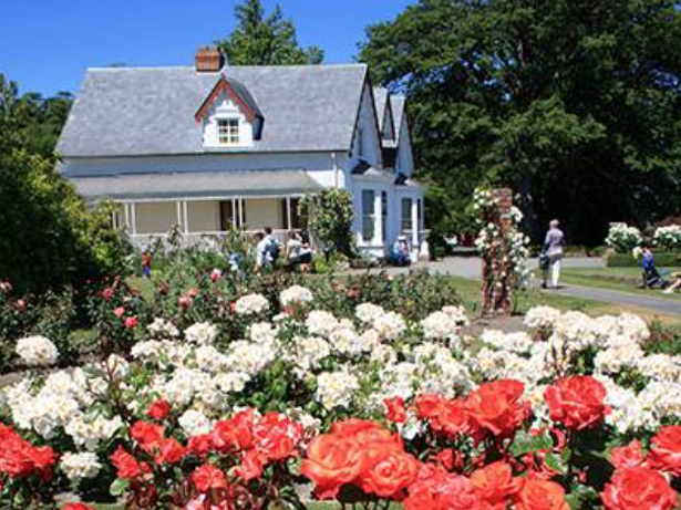 COME SIT AMONGST THE ROSES.
