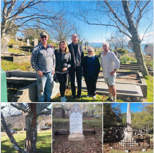 GOOD NEWS - UPDATE - TREES TO BE INSPECTED IMMEDIATELY.&nbsp;