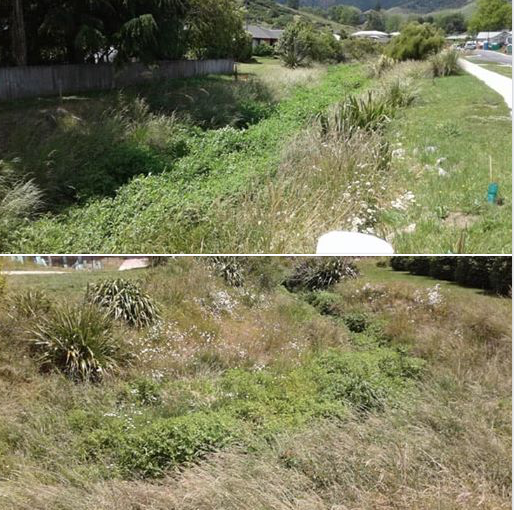 NEWS UPDATE – OUR STREAMS ARE ESSENTIAL FOR NATURE.