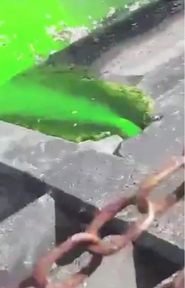 A STREAM WAS RUNNING BRIGHT GREEN LAST WEDNESDAY INTO OUR OCEAN.