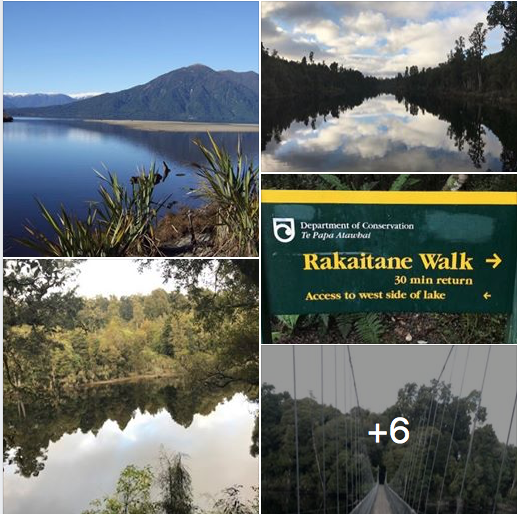GOOD NEWS - BEAUTIFUL NZ -&nbsp;LAKE BRUNNER’S MOUNT TE KINGA TO GO PREDATOR FREE.