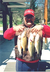 FishCatchWeb2.jpg