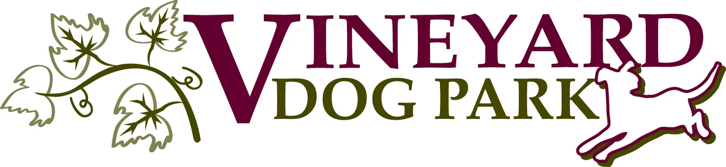 VYDogspot.jpg